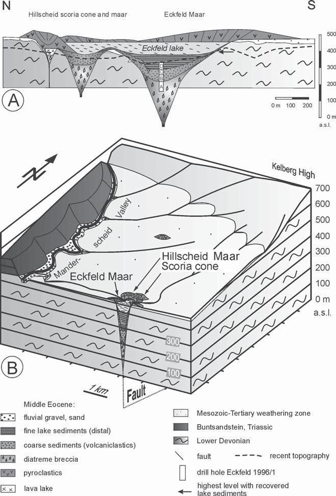 HERBERT FRANKENHÄUSER Abb. 11: A: Längsschnitt durch das Eckfelder Maar, das Hillscheid Maar und den Hillscheid Schlackenkegel zur Zeit der Ablagerung der fossilführenden Seesedimente von Eckfeld.