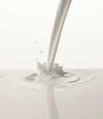 Bio-Milch und Bio-Käse Milch besteht zu 86% aus Wasser.