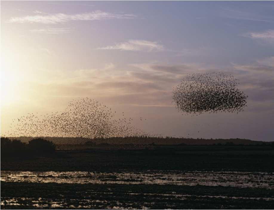 INTERREG IV A Projekt Natur