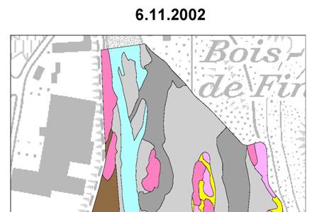 Braun: Nichtauengebiet; Violet: Weichholzaue mehr als 5 m hoch; Rosa: Weichholzaue weniger als 5 m hoch; Gelb: Pionierkrautgesellschaften; Dunkelgrau: künstlich transportierte Sedimente aus der