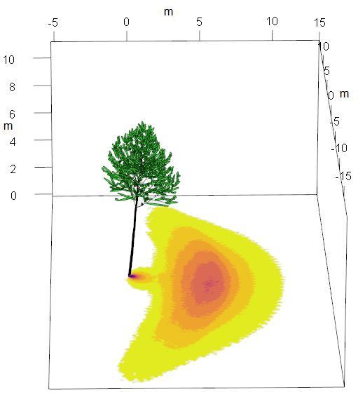 Lichtmodell 3D-Visualisierung des Baum- Modells und des