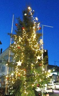 Herzlichen Dank an die Förster Der Gemeinderat und die Verwaltung bedanken sich auch dieses Jahr ganz herzlich bei den Förstern für den prächtigen Weihnachtsbaum vor dem Gemeindehaus.