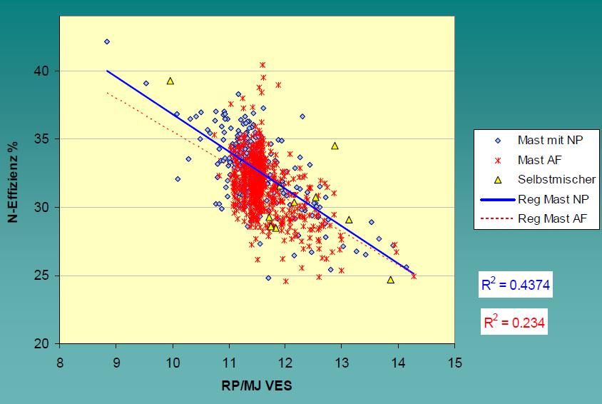 2 g/n Ø Effizienz korreliert mit Proteingehalt der Ration Ø Bei