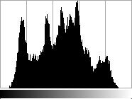 2 Grundlagen für die Computer Vision 12 (a) Graustufenbild (b) Histogramm Abbildung 4: Histogramm eines Graustufenbild Bei einer Gleichverteilung aller Grauwerte wäre die Darstellung des kumulativen