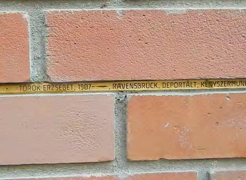 Monument Names in the Mortar Joints in Trefort-Garden, Budapest, Photo: Eszter Laik. 28 sonal accounts, private memories, pictures, documents, and (re)connects people to their family histories.