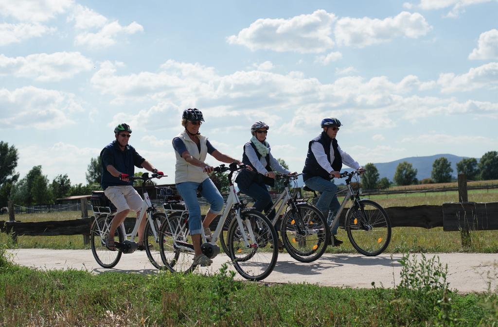 8 Freizeitaktivitäten / Bauchfelldialyse oder Blutwäsche Die Paare treffen sich gerne zu Unternehmungen Viele sportliche Aktivitäten sind wieder möglich Sportarten immer Hilde: Ist es nicht herrlich,