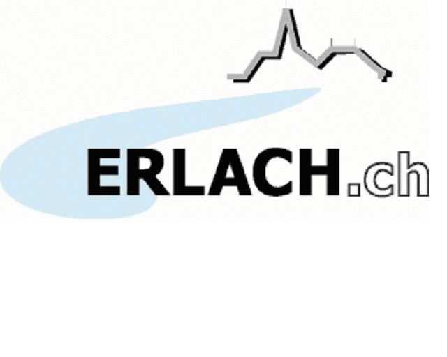 Einwohnergemeinde Erlach Vorbericht zum Voranschlag 2015 Liebe Bürgerinnen und Bürger Verschiedene Steuergesetzrevisionen und die Entwicklung des Finanz- und Lastenausgleichs führen zu einer