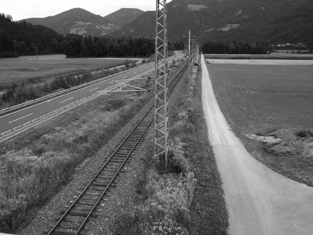 Gartenabfällen an Flussufer und etabliert sich auf Schottern