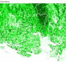 Vegetations-Pixel in Landsat MSS-1/2/3, - Brightness : Böden. - Greenness : Wachsende - Yellowness : Alternde - Non-such : Grauwerte, die nicht den vorigen Dimensionen zugeordente werden können.
