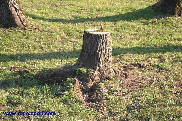 Baumstumpf Beseitigung nicht in Arbeit Beabsichtigt die Spielleitung einen Baumstumpf beseitigen zu lassen, mit den Arbeiten ist aber noch nicht begonnen worden, so ist der Baumstumpf NICHT