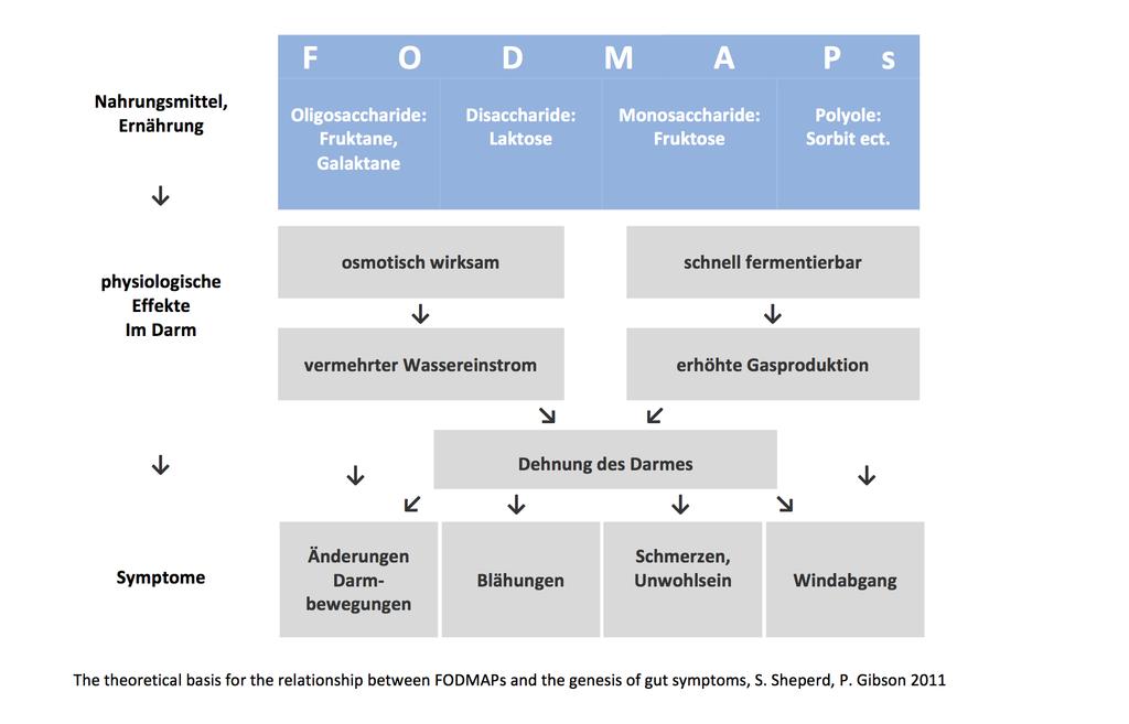 FODMAP-arme Ernährung Fermentierbare Oligo-, Di- und Monisaccharide