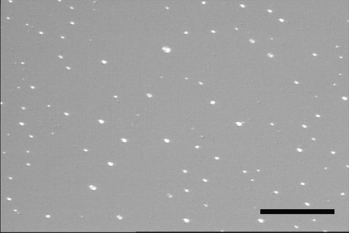 In Abbildung 7-29 sind die optischen Mikroskopaufnahmen von zwei h-bn- Schichten gleicher Schichtdicke dargestellt.