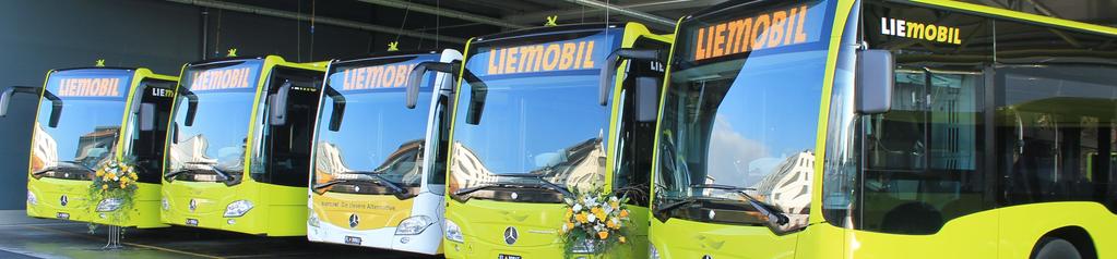 Die Gelenkbusse ersetzen alte, ausgediente Fahrzeuge auf den Hauptlinien und die beiden Standardbusse wurden extra für die neue Eilbus-Linie 3E beschafft.