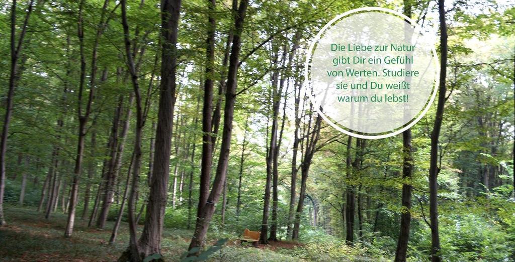 Nehmen Sie sich Zeit für eine kostenlose Waldführung durch den Wald der Ewigkeit. Wir beantworten Ihnen gerne alle offenen Fragen zum Thema Baumbestattung und Vorsorge.