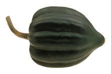 Table Queen (Acorn) Form Eichelförmig, 10 deutliche Längsrippen Grösse 10 15 cm Gewicht 0,5 1,5 kg Schale Glatt, dunkelgrün mit winzigen