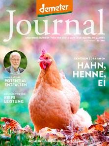 Deshalb erklärt das Demeter Journal in seiner Herbst-Ausgabe den Verbraucher*innen die Verknüpfung von Hahn + Fleisch, Henne + Ei.