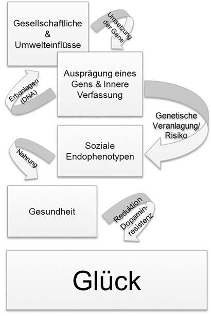 2 Gene und Glück 1. Abbildung: Gene & Glück Quelle: Eigene Darstellung (nach BLUM et al. 2009, S.