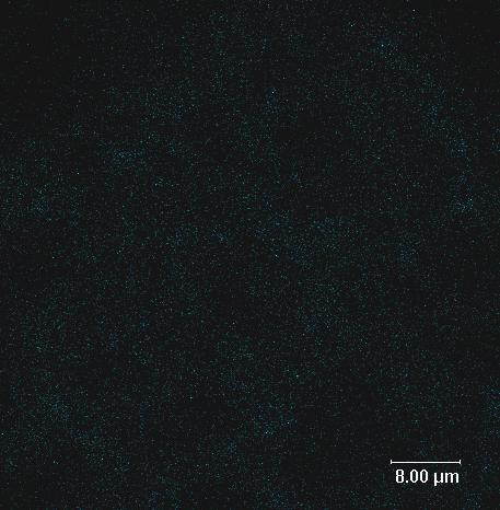 Flavon aktiviert den intrinsischen Apoptoseweg ROS Mitochondrien Flavon [1 µm]