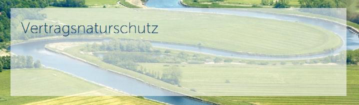Grünland in Schleswig-Holstein: Entwicklung der letzten Jahrzehnte