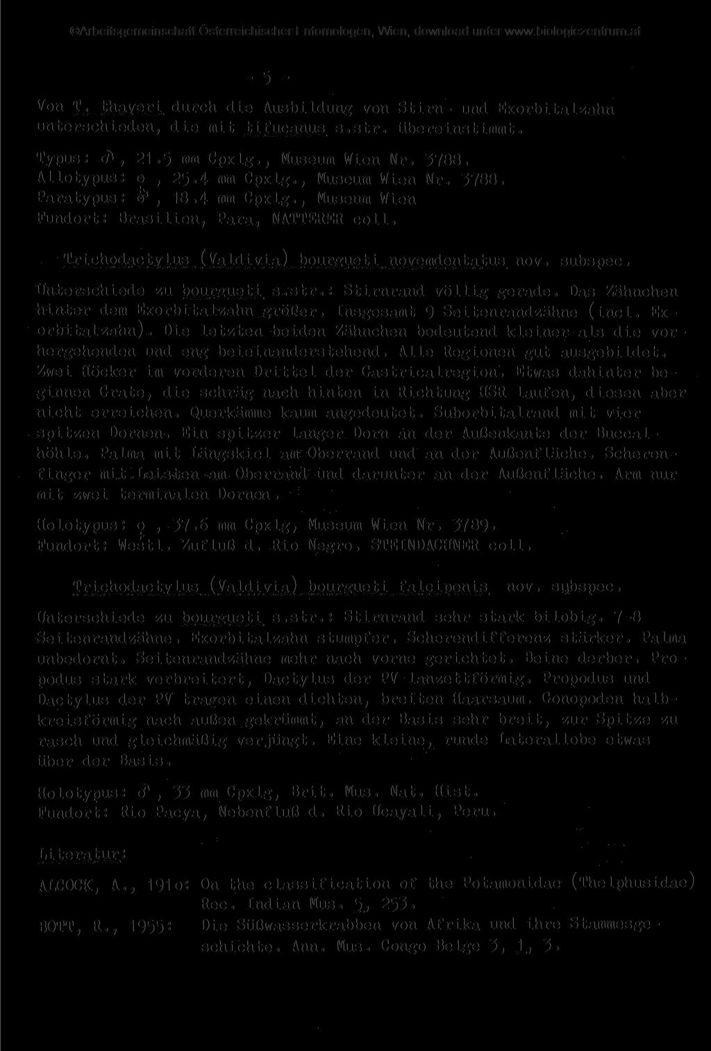 Von - 5 - T. thaveri durch die Ausbildung von Stirn- und Exorbitalzahn unterschieden, die mit tifucanus s.str. übereinstimmt. Typus.* &, 21»5 mm Cpxlg., Museum Wien Nr. 3788. Allotypus: o, 25.