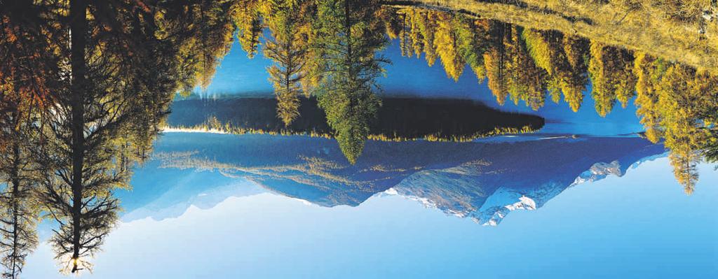 Dienstag, 12. April 2016 7 Goldene Lärchen, strahlender Himmel, tiefblaue Seen das Engadin strotzt vor Farben im Herbst. Doch nur wenige Besucher erleben dieses prächtige Szenario. Foto: swiss-image.