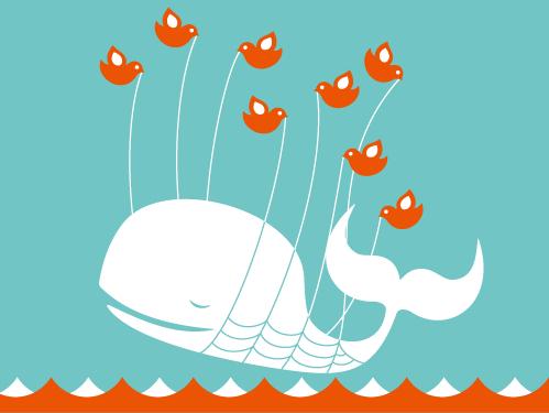 Twitter: Exkursion zum Fail Whale