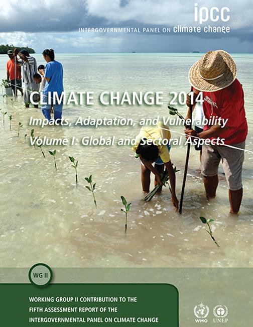 5. SACHSTANDSBERICHT DES IPCC Teil 2 Folgen des Klimawandels auf Natur und Gesellschaft Risiken des Klimawandels