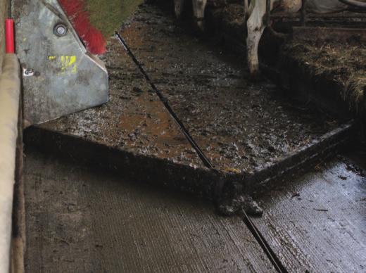 Abb. 6: Faltschieber in Vorwärtsfahrt (links). Kombischieber (rechts) in Rückwärtsfahrt. Versuch 3: Mit welchem Schiebertyp kommen die Kühe am besten zurecht?