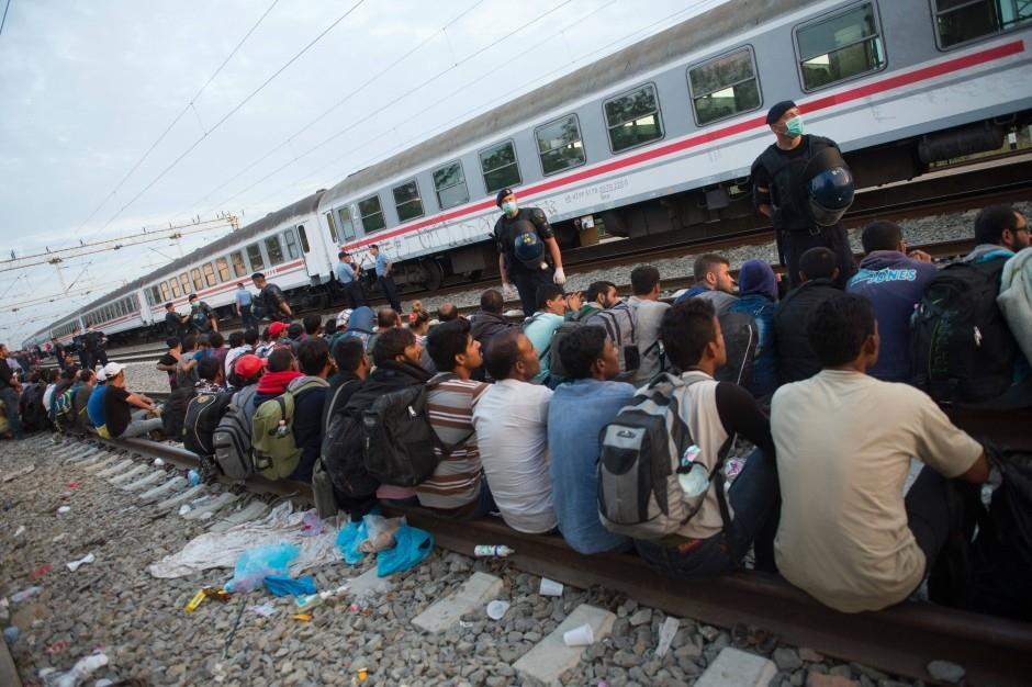 Humanitäre Zuwanderung wächst: Die Zahl der Menschen, die in Deutschland Asyl
