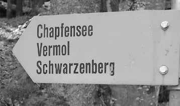 02/2017 Gemeindenachrichten Mels 12 Parkplatzkonzept Chapfensee genehmigt Der «Sarganserländer» berichtete im Februar darüber, dass die Gemeinde Mels Ordnung in die vereinzelt chaotische