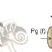 Die Freifeldübertragungsfunktion ist der Unterschied zwischen dem Schallfeldsignal ohne Person und dem Ohrsignal. Abbildung 4.