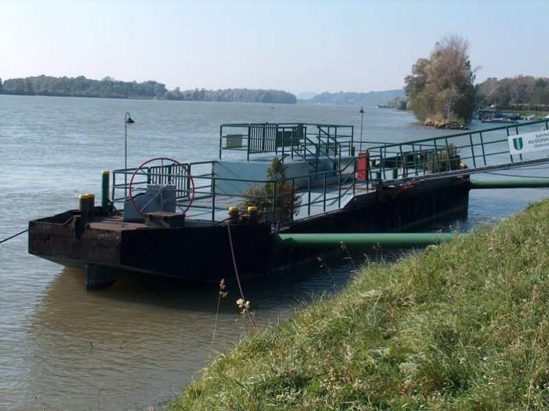 Donau, Au,