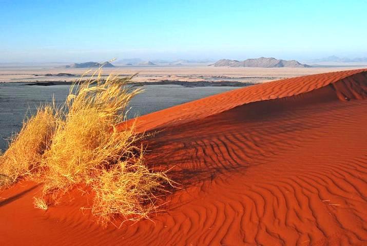 Tag 1 Anreise - Kalahari Herzlich Willkommen in Namibia!