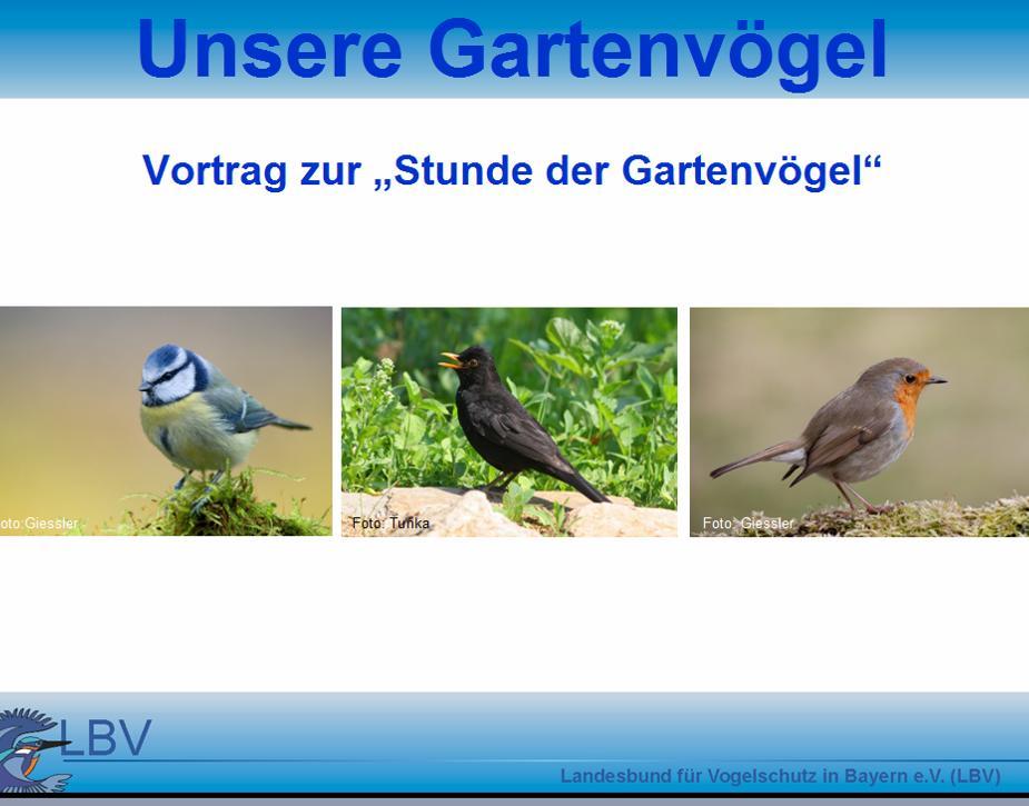 Stunde der Gartenvögel (Mai 2015) Erläuterungen zur Stunde der Gartenvögel Präsentation (Unsere Gartenvögel LBV) Erklärungen zu den einzelnen Stationen Während der Beobachtungen arbeiten die anderen