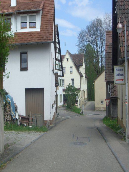 Rosenbühl Der Rosenbühl erschließt die außerhalb der historischen Stadtbefestigung gelegene, eher dörflich geprägte Siedlung eine
