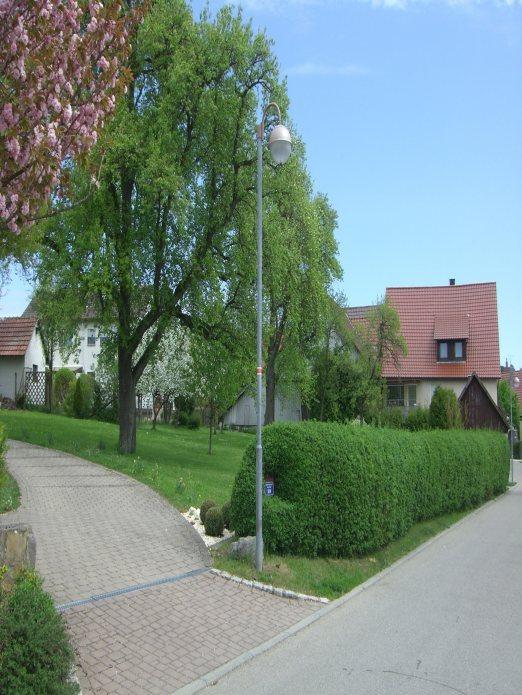 Seestraße Erhaltenswerte historische Freifläche Obstwiese am Ortsrand Wiesenfläche mit Bäumen, teilweise mit jüngeren Gebäuden