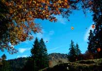 24 Tourismus September 2016 Herbsterlebnisse im Städtle und am See Der Herbst im Allgäu eignet sich ideal für sportliche Aktivitäten an der frischen Luft, etwa einer Wanderung im Naturpark