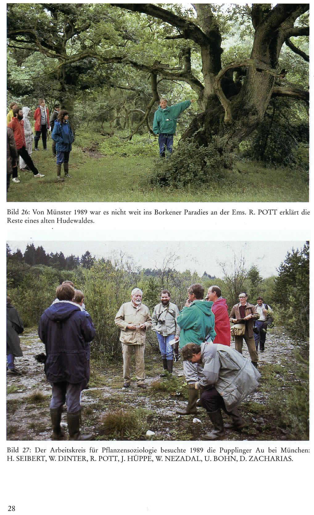 Bild 26: Von Münster 1989 war es nicht weit ins Borkener Paradies an der Ems. R. POTT erklärt die Reste emes alten Hudewaldes.