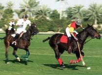 "Visit the Stables" Um einen umfassenden Eindruck von Dubai als Pferdesport- Destination zu bekommen, ist ein Besuch der erstklassigen Rennställe ein Muss.