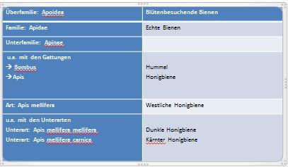 Apis mellifera und das BNatSchG Ist die Art Apis mellifera (Westliche Honigbiene) ein Wildtier und welche Folgen hätte das für die Gesetzgebung und den Artenschutz? Sigrun Mittl, Februar 2017 1.