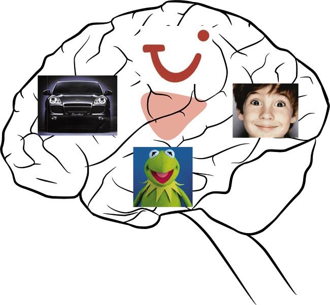 [Beginn Grafik] Warum das Gehirn auf Kommunikation angelegt ist 2 Abbildung 2.1: Das Gesichtsareal. Diese Hirnregion ist für das Erkennen von Gesichtern und gesichtsähnlichen Mustern zuständig.