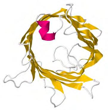 Humaner K + -Kanal TREK-2 Der Membran-durchspannende Teil der Helix besteht dann überwiegend aus unpolaren Aminosäuren.