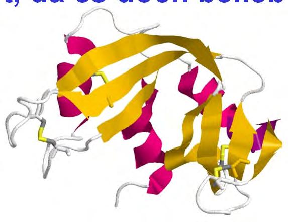 alternative Anordnungen gibt. Die RNAse A ist ein stabiles, extrazelluläres, 124 As langes Protein mit 4 stabilisierenden Disulfidbrücken.