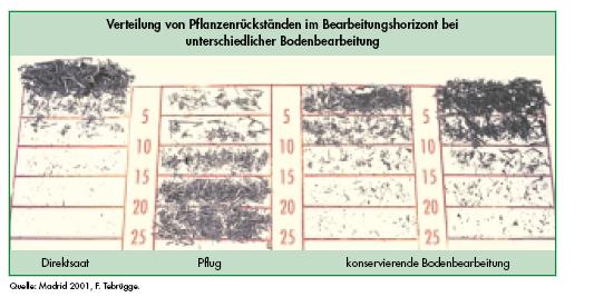 Problem Erntereste Bestandesetablierung Verteilung von Ernteresten