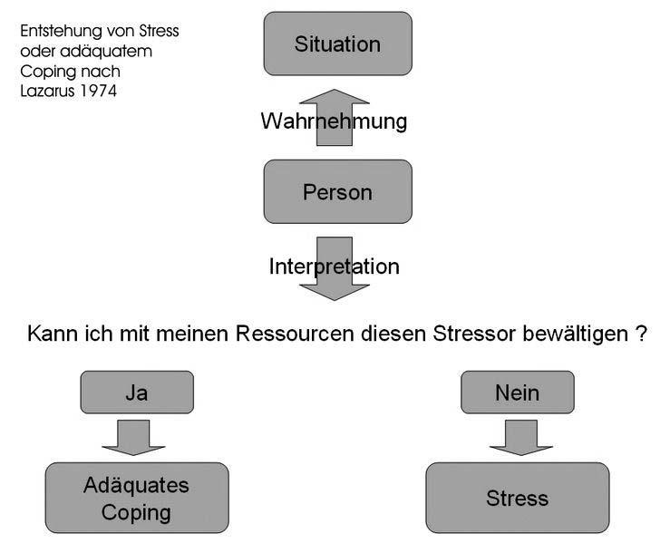 Stress und Coping-Modell / 9 Stress und Coping-Modelle des