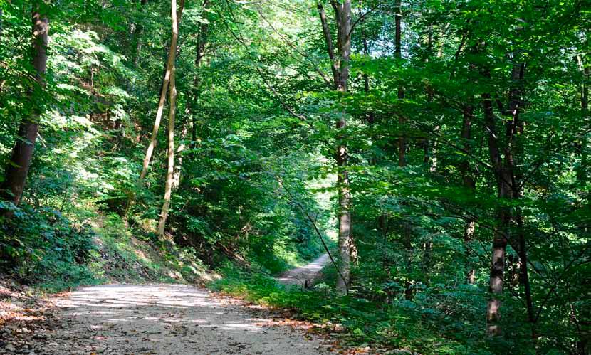 Pflege und Bewirtschaftung des Waldes in einer Hand Im Landkreis Heidenheim ist der Fachbereich Forsten im Landratsamt Ihr kompetenter Ansprechpartner für alle Fragen rund um den Wald.