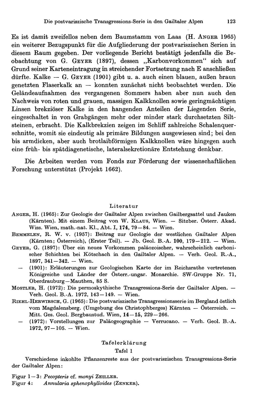 Die postvariszische Transgressions-Serie in den Gailtaler Alpen 23 Es ist damit zweifellos neben dem Baumstamm von Laas (H.