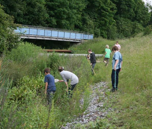 Jahresberichte der Biologischen Station Westliches Ruhrgebiet, Oberhausen 10 (2013) 10 Projekte mit dem LVR 10.