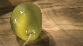 DAMAST Böker Damast Olive SANTOKU Ges. 29,8 cm Kl. 17,2 cm. Stärke 3 mm Gew. 140 g. Best.-Nr.