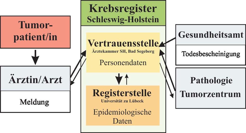 Krebsregistrierung in Schleswig-Holstein Krebsregistrierung in Schleswig-Holstein Aufgaben und Ziele Die Ziele der Krebsregistrierung in Schleswig-Holstein sind in () des aktuellen